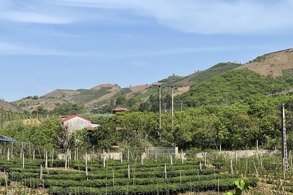 Hiện đại hóa phương tiện tuyên truyền, giữ vững thế trận lòng dân vùng biên