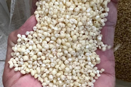 Hạt vừng nhỏ nhưng có võ với 5 công dụng bất ngờ Loại hạt cứu đói một thời trở thành