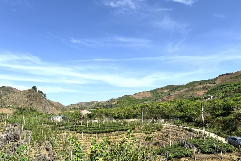 Quân khu 2 giúp bà con yên tâm 