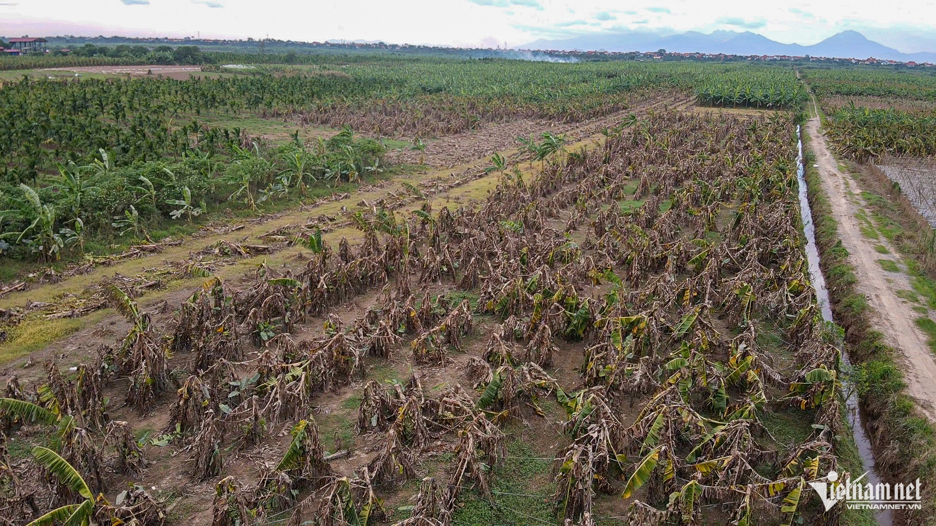 W-chuoichethangloatsaulu_hanoi (1 of 1) 2.jpg