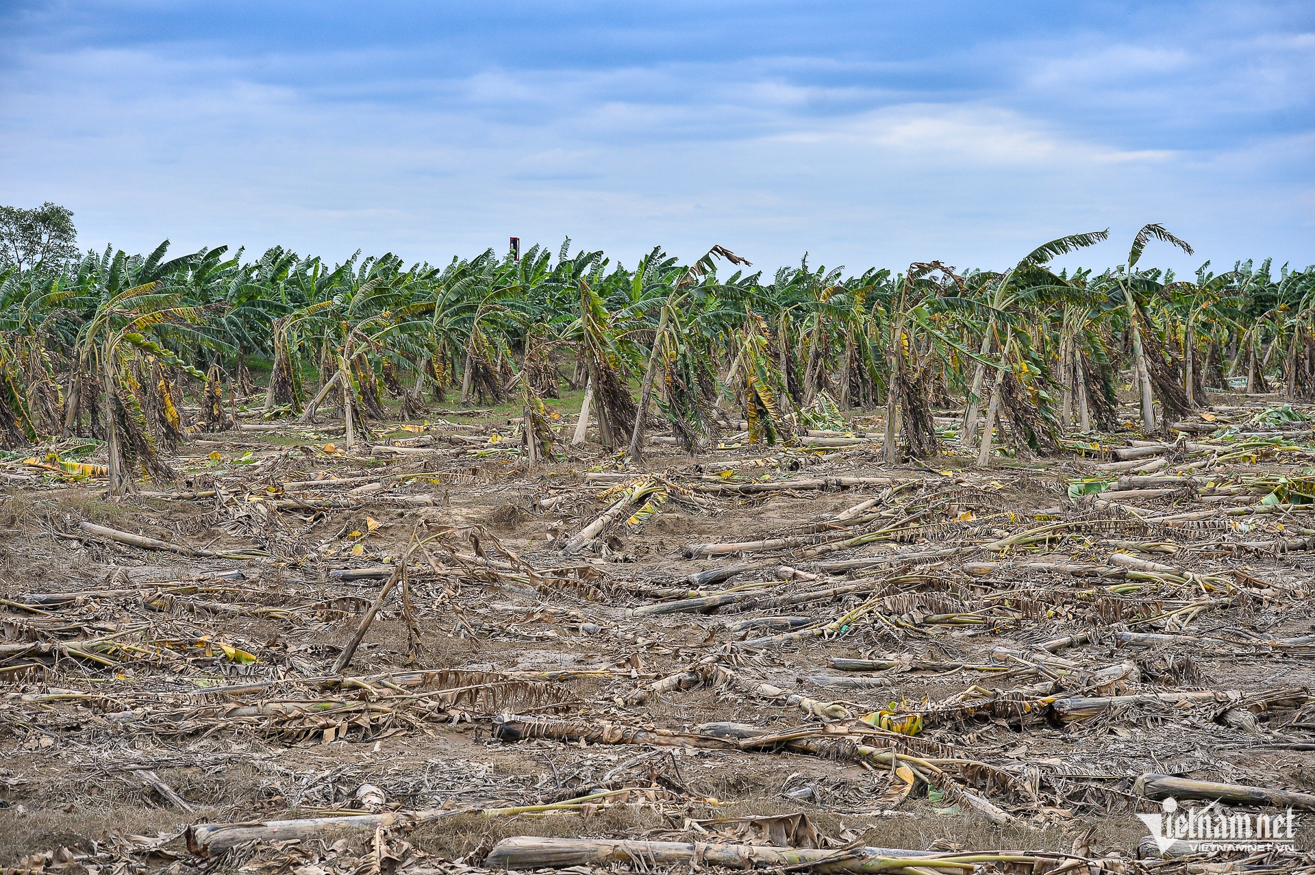 W-chuoichethangloatsaulu_hanoi (1 of 25).jpg