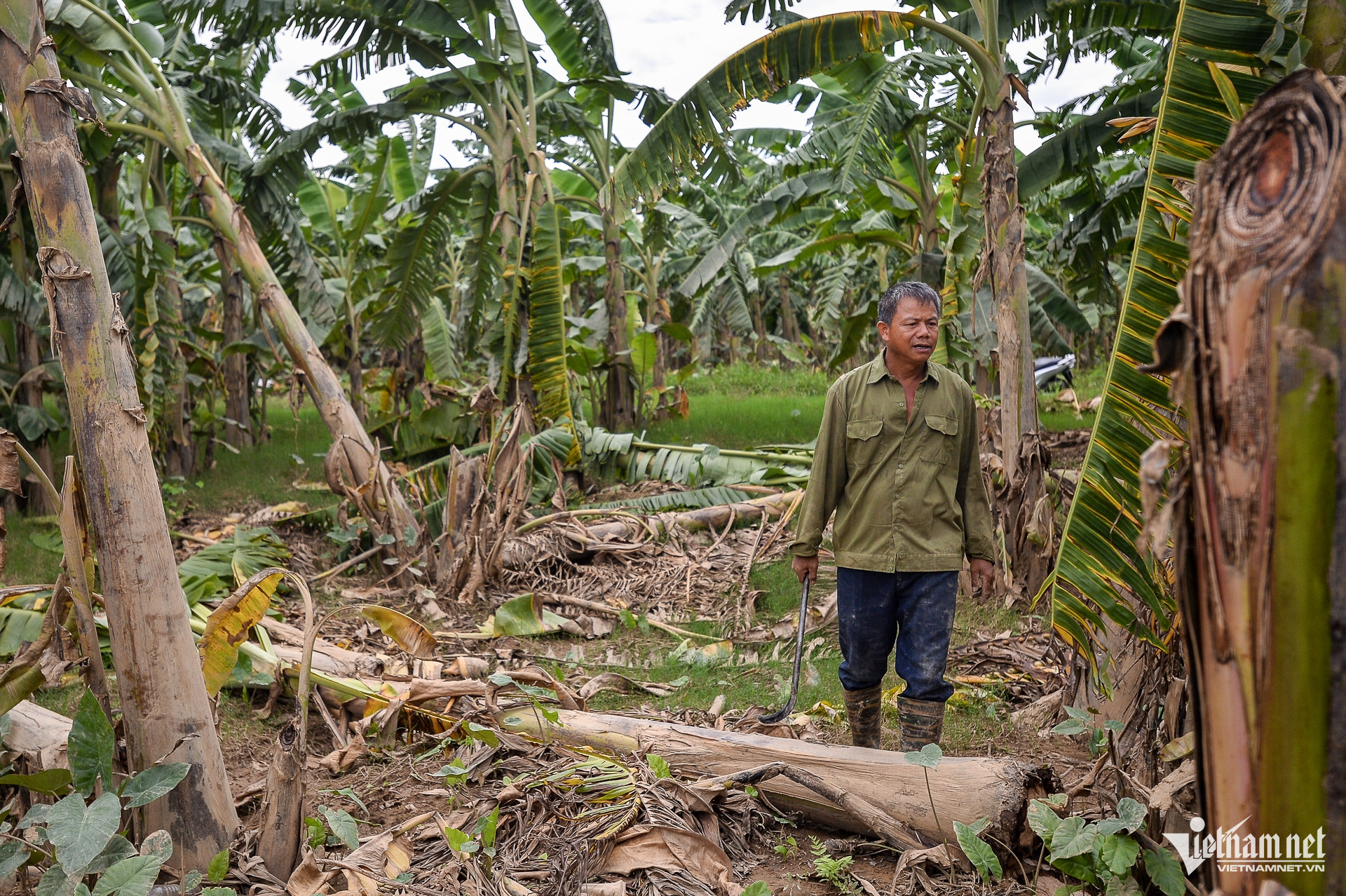 W-chuoichethangloatsaulu_hanoi (11 of 25).jpg