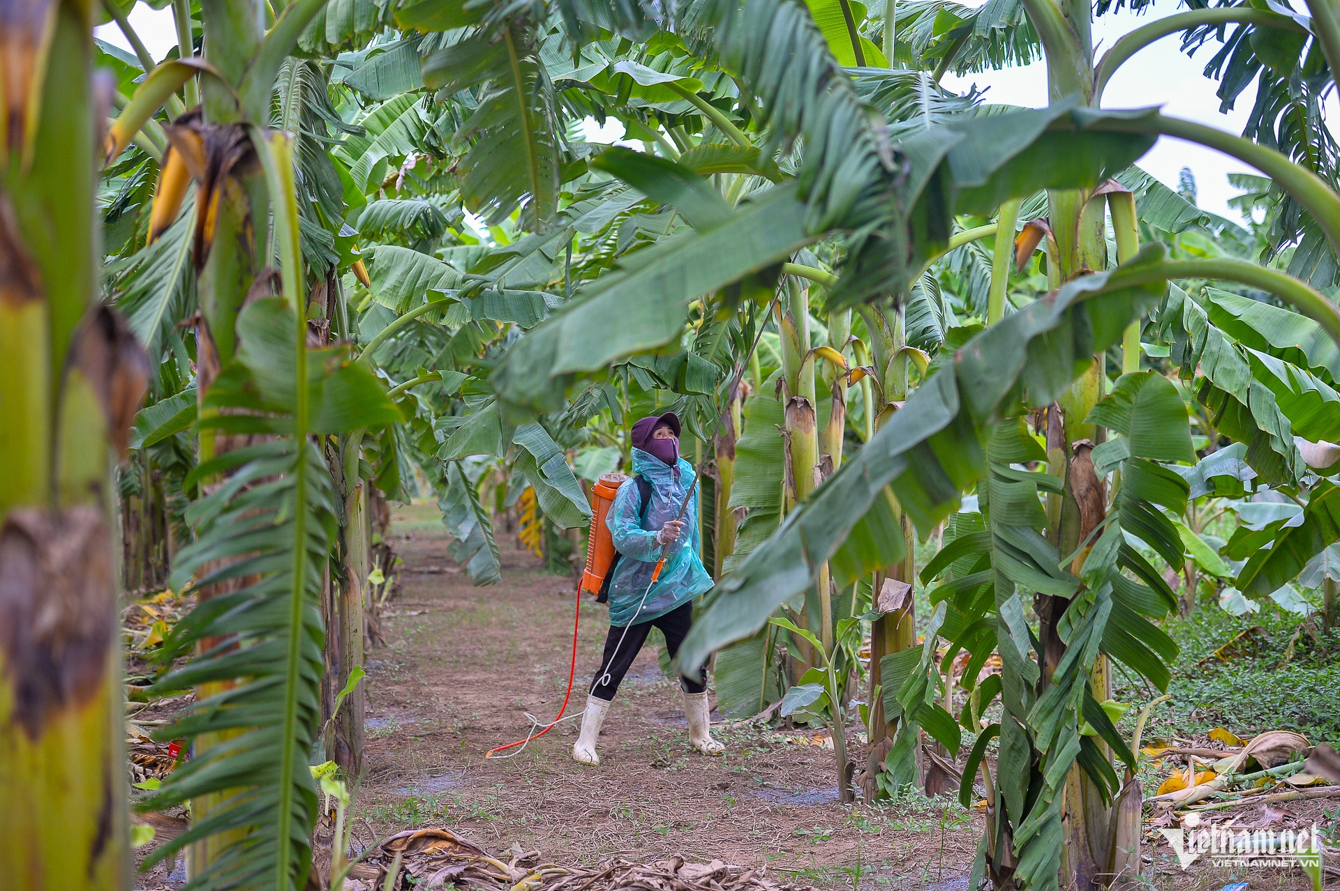 W-chuoichethangloatsaulu_hanoi (20 of 25).jpg