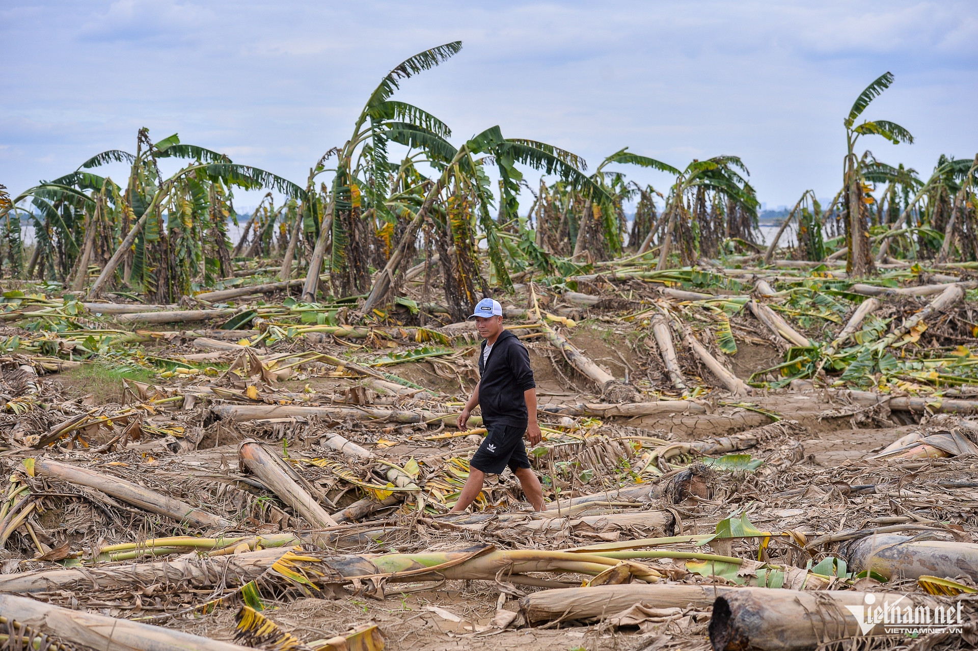 W-chuoichethangloatsaulu_hanoi (7 of 25).jpg