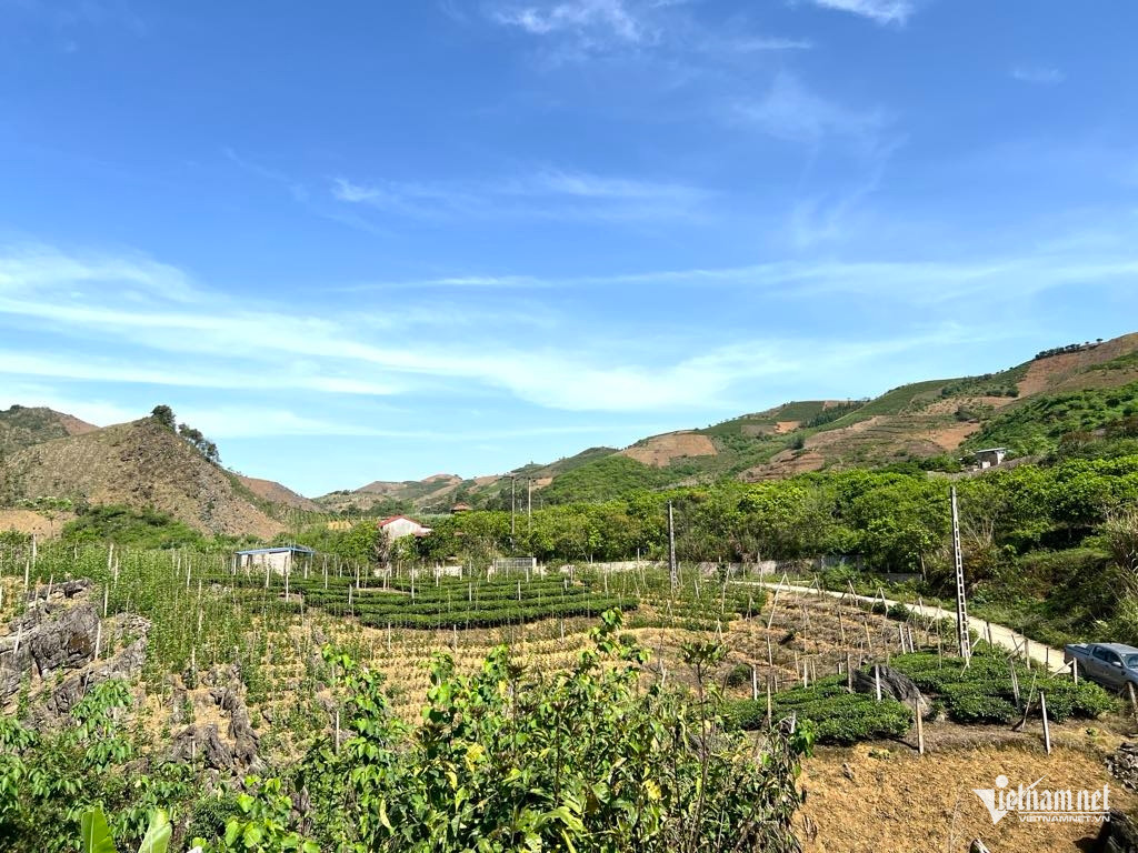 W-Xã Phiêng Luông 22.jpg