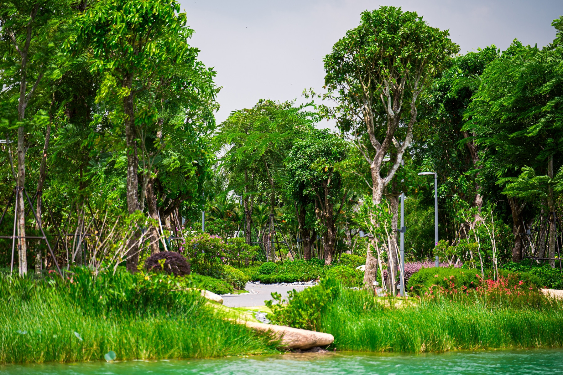 Các bác sĩ kê đơn '0 đồng' giúp chữa nhiều bệnh