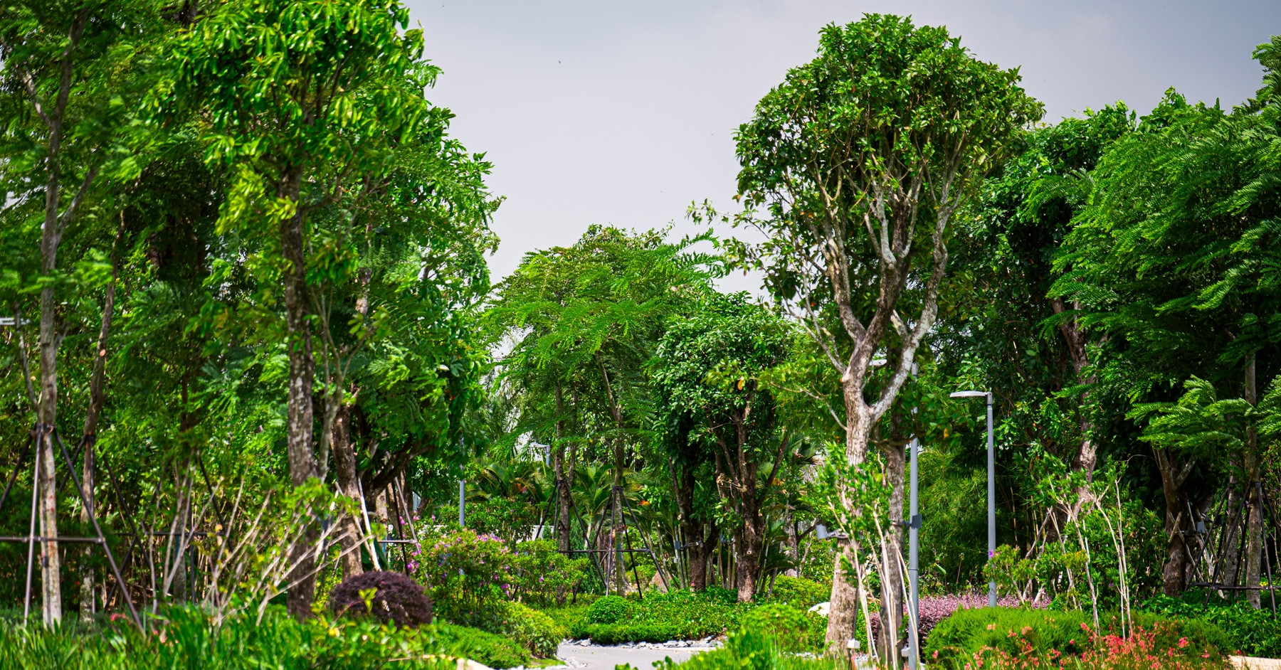 Các bác sĩ kê đơn "0 đồng" giúp chữa nhiều bệnh