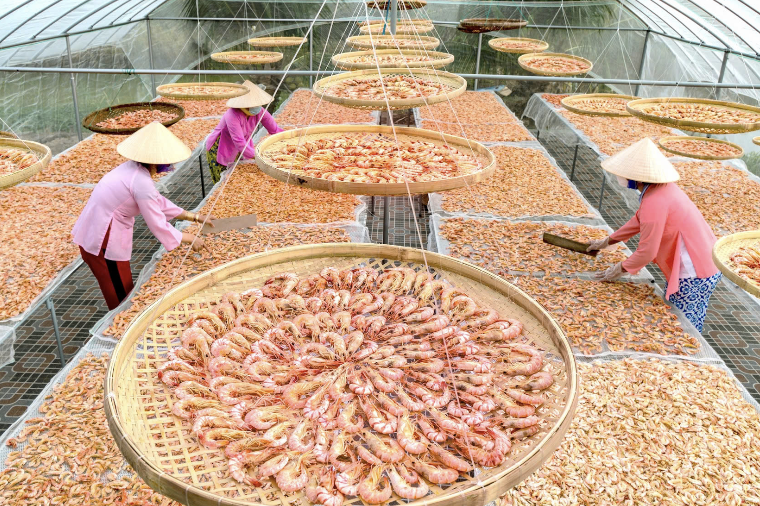 Doanh nghiệp đem ‘rừng vàng, biển bạc’ đổ bộ Hội chợ Mùa Thu 2025