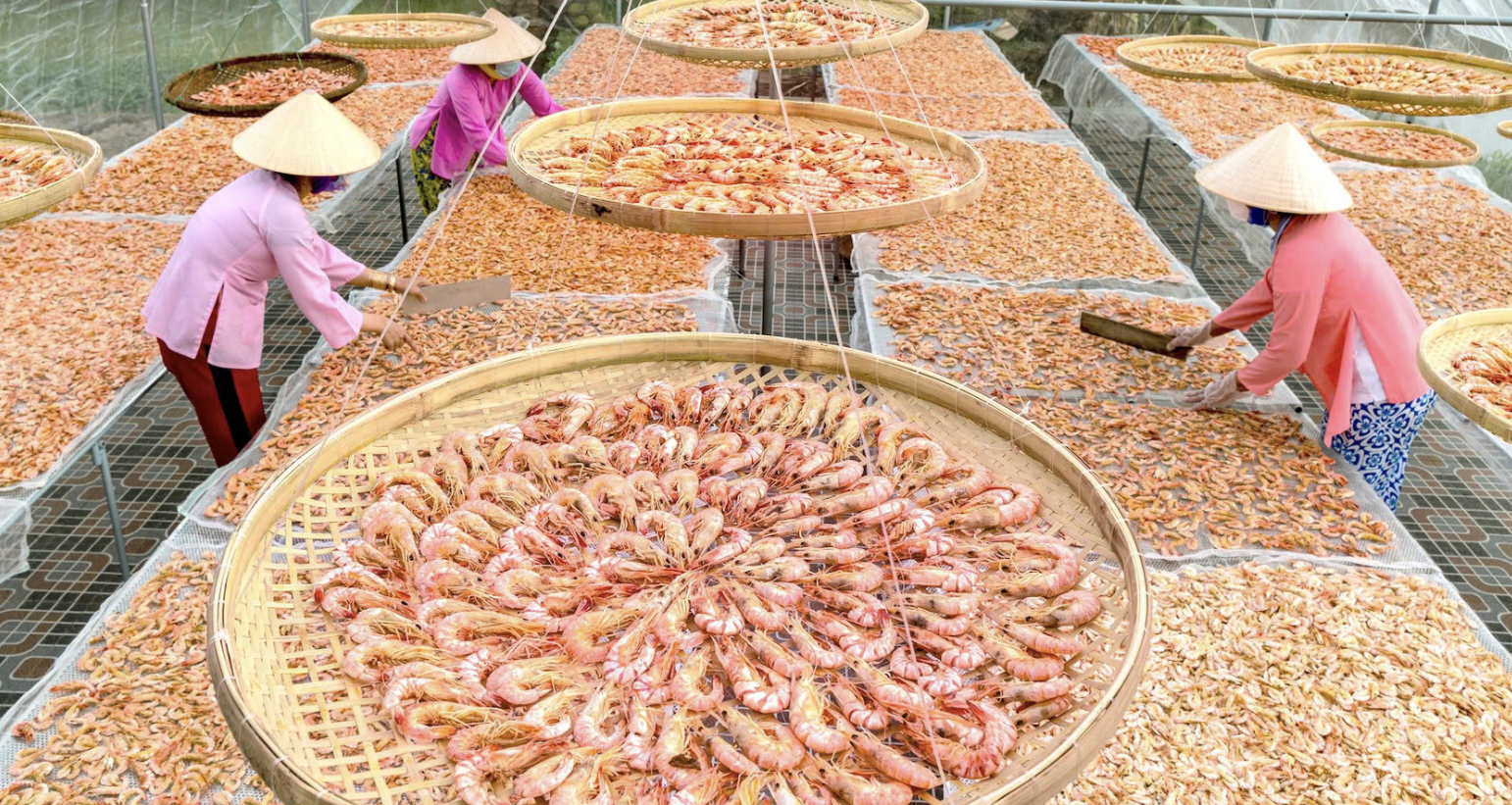 Doanh nghiệp đem ‘rừng vàng, biển bạc’ đổ bộ Hội chợ Mùa Thu 2025