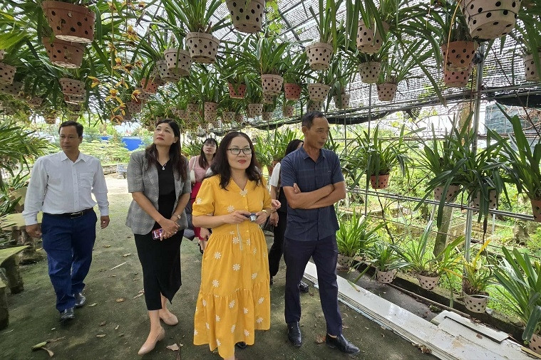 Hải Phòng chú trọng công tác kiểm tra, giám sát xây dựng nông thôn mới