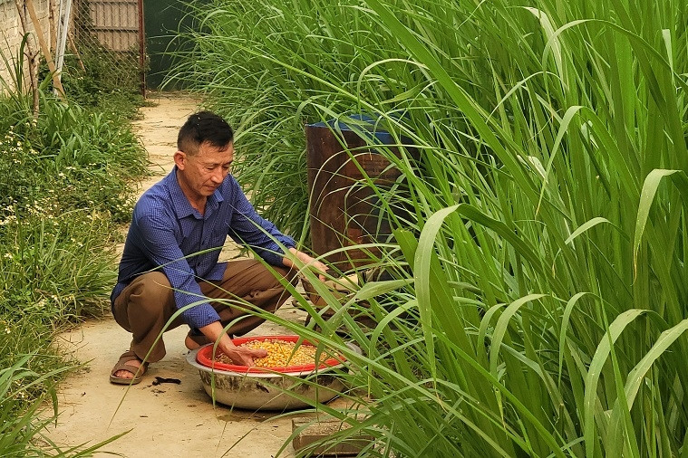 Hội viên nông dân Thái Nguyên tích cực đóng góp xây dựng nông thôn mới