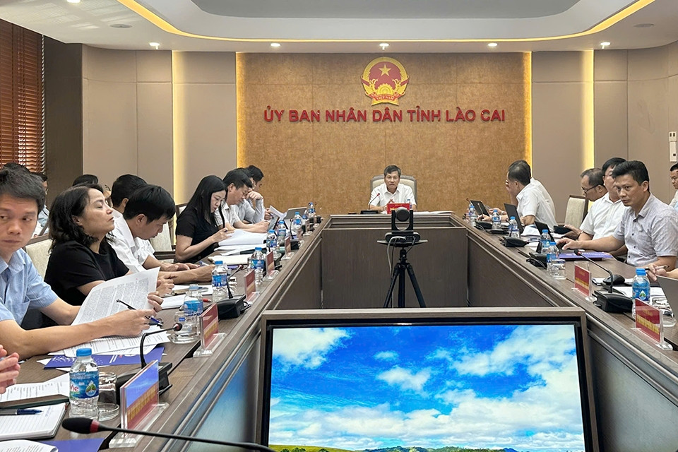 Tập trung nguồn lực đẩy nhanh tiến độ các dự án truyền tải điện ở Lào Cai