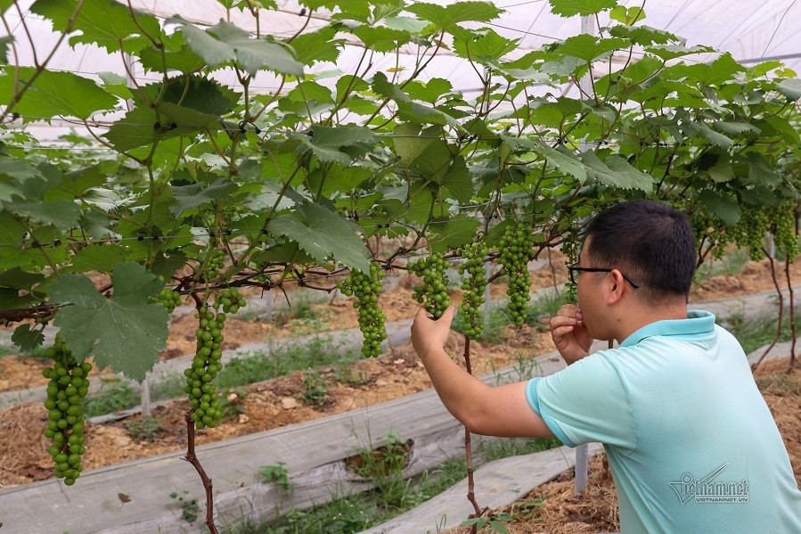 Thạnh Phú phát triển nông thôn mới toàn diện, văn minh