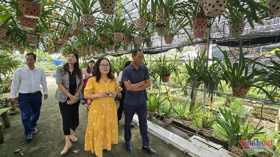 W-e07d6aef 56c6 4c67 8e16 f990a5cd3e94.jpg