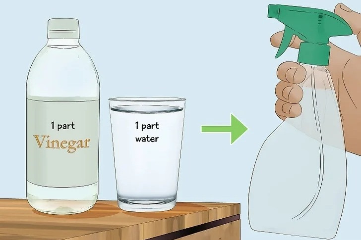 pha giam va nuoc theo ti le 1 1.jpg