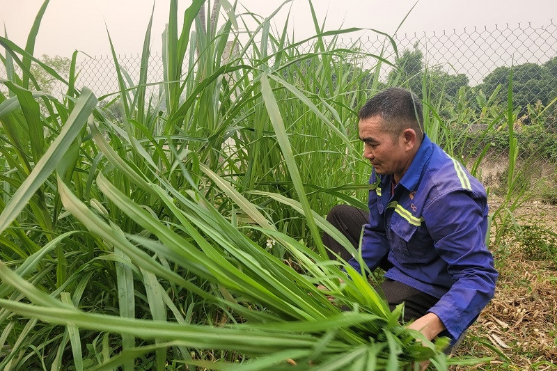 Trường Xuân hướng tới mục tiêu nông thôn mới nâng cao trong nhiệm kỳ 2025 - 2030