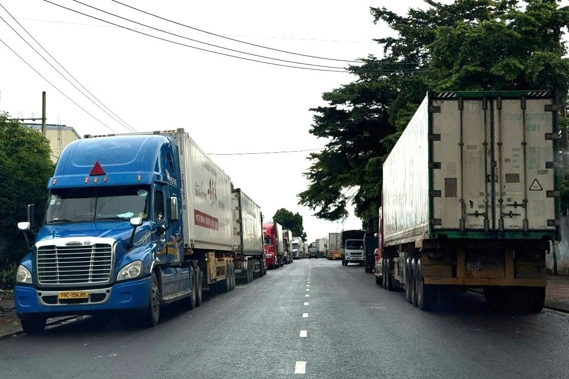 Bất ngờ lý do 2.000 container sầu riêng Đắk Lắk bị ùn ứ