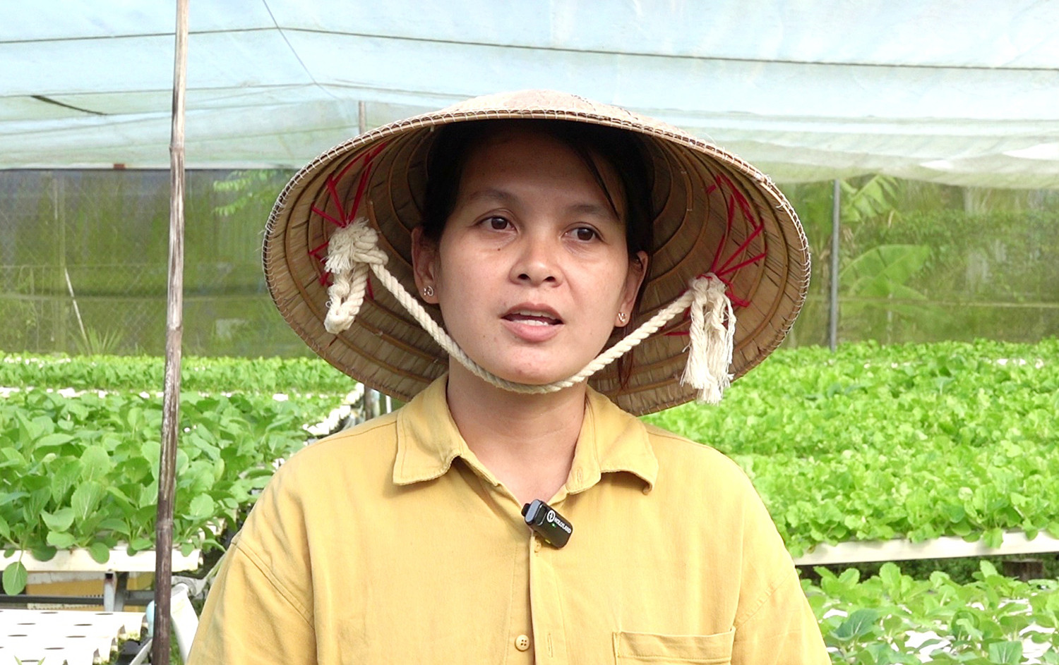 Cần Thơ.jpg