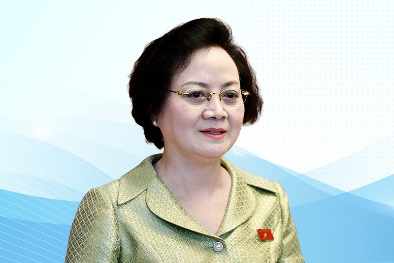Tiểu sử nữ Phó Thủ tướng đầu tiên của Việt Nam