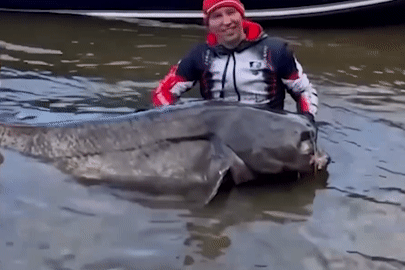 Cá trê khổng lồ gần 3 mét khiến hai cần thủ 'vật lộn' trong hồ