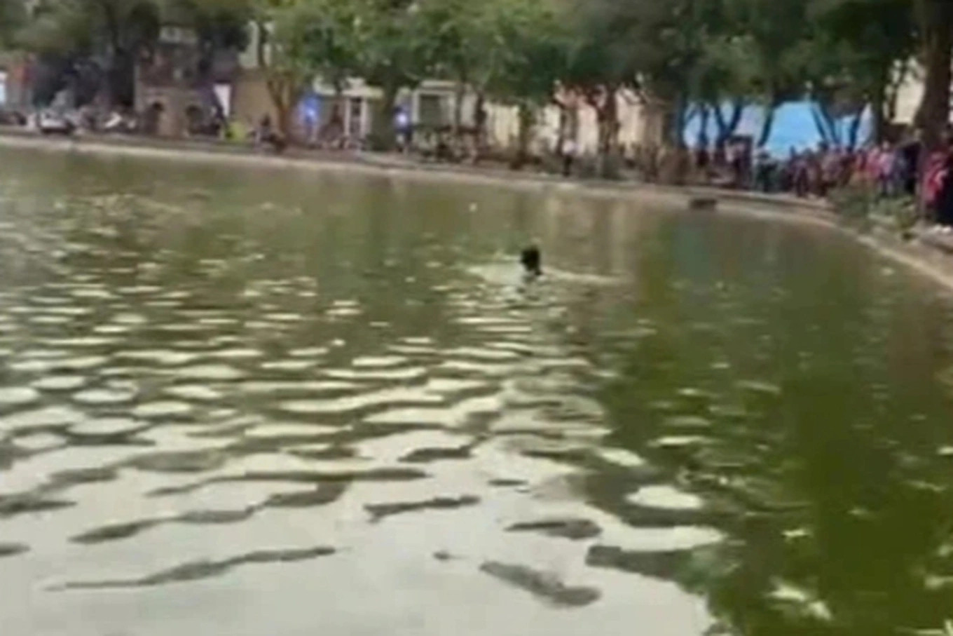 Công an thông tin vụ cô gái tử vong ở hồ Hoàn Kiếm