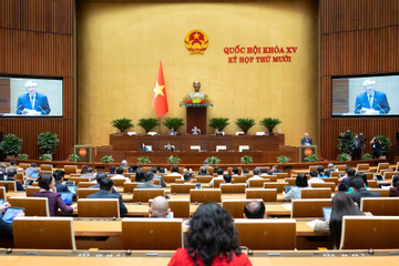 Đề xuất phạm nhân được hiến mô, bộ phận cơ thể, lưu trữ trứng, tinh trùng