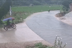 Hai xe máy 'chào bằng còi' nhưng vẫn tông vào nhau khó hiểu
