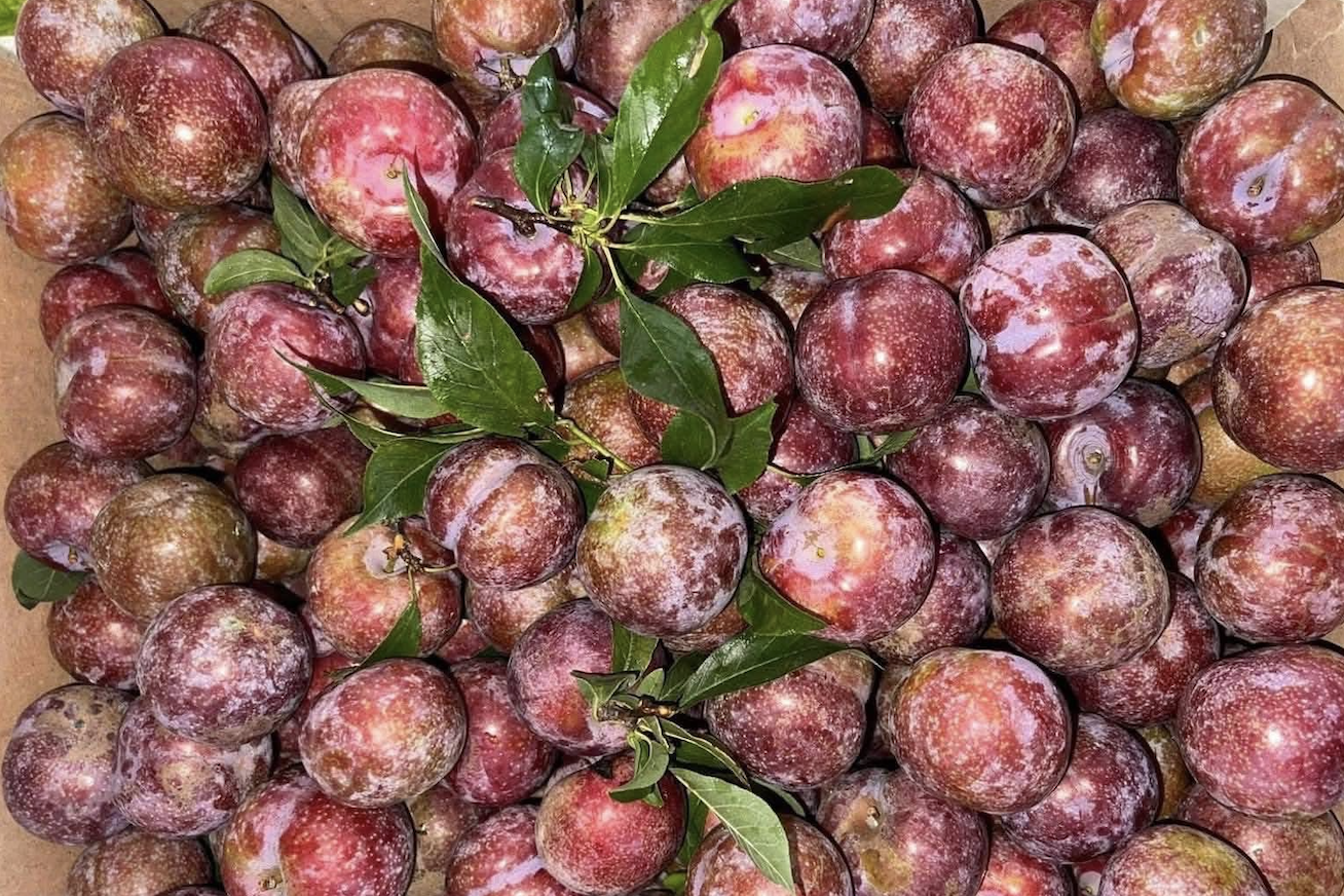 Không gian phát triển mới các lĩnh vực tiềm năng giữa Việt Nam - Vương quốc Anh