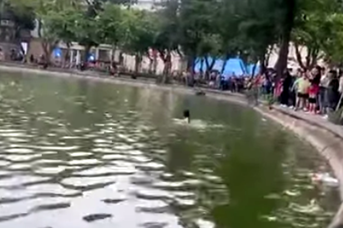 Thông tin vụ cô gái đuối nước tử vong ở hồ Hoàn Kiếm