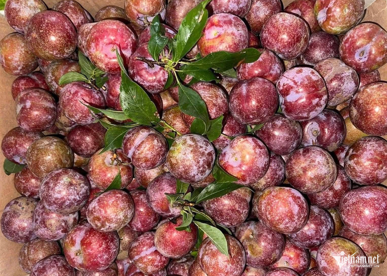 W-Nông sản việt nam.png