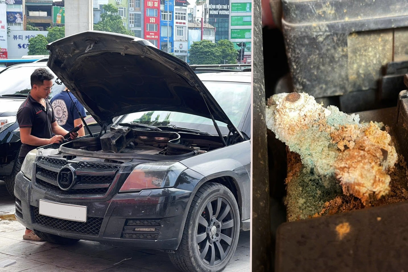 Xe đang đi bỗng chết máy, tài xế tá hỏa khi thấy cảnh tượng ở dưới nắp capo