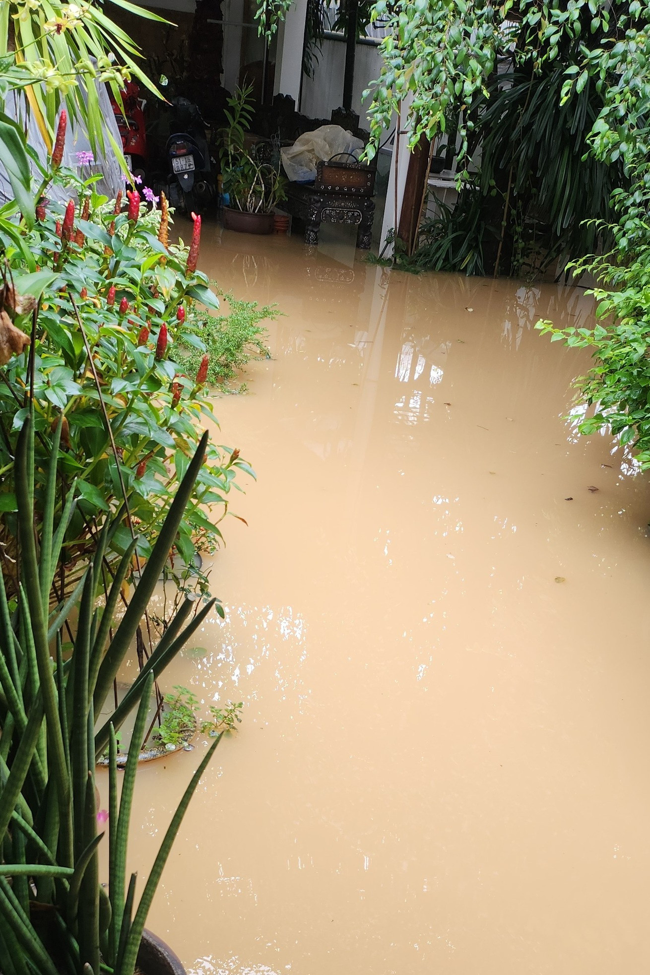 Ánh Tuyết và mưa lũ