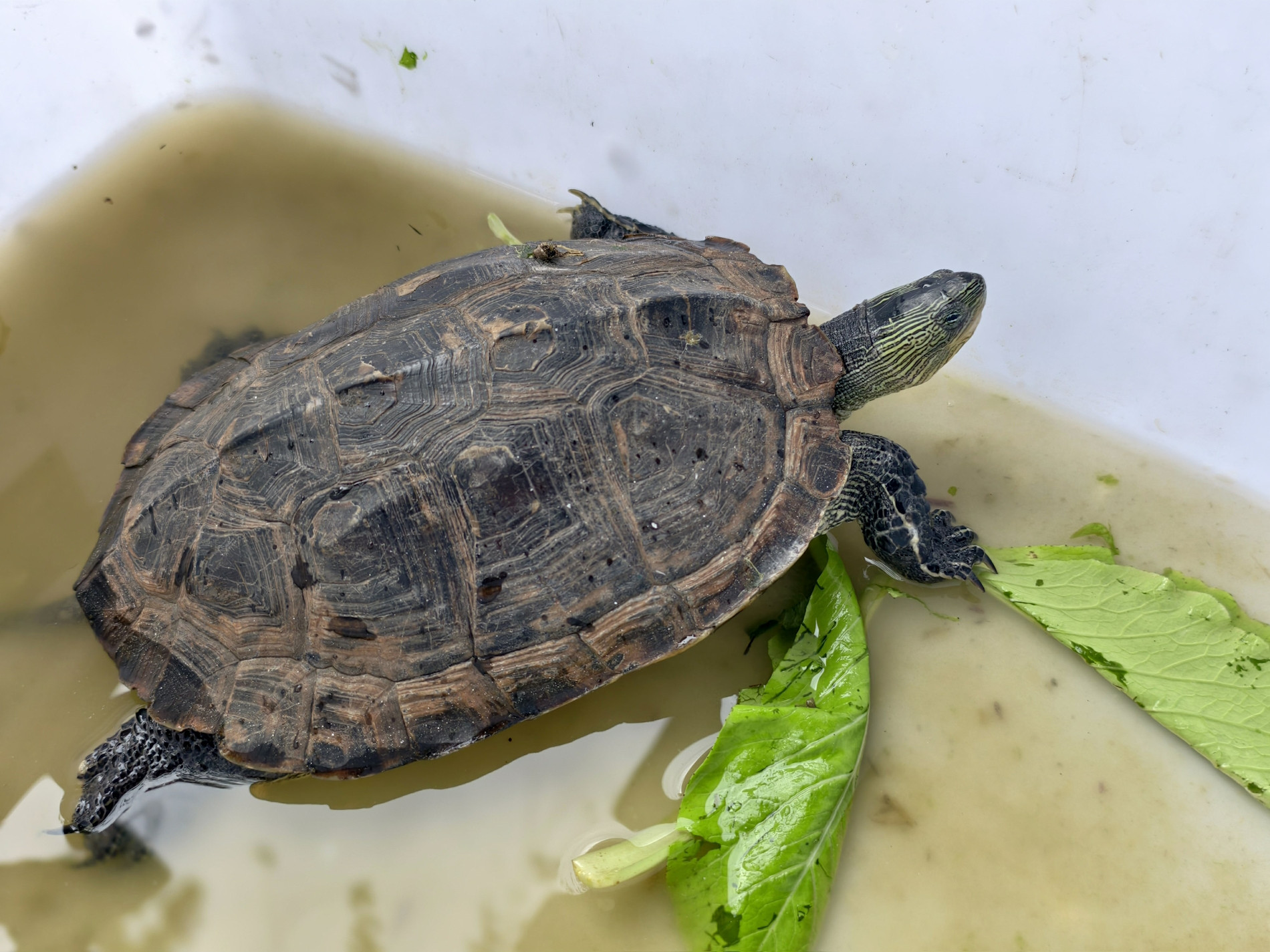 8ad89408 5572 4ea7 809e 7462cde2597a (1).jpg