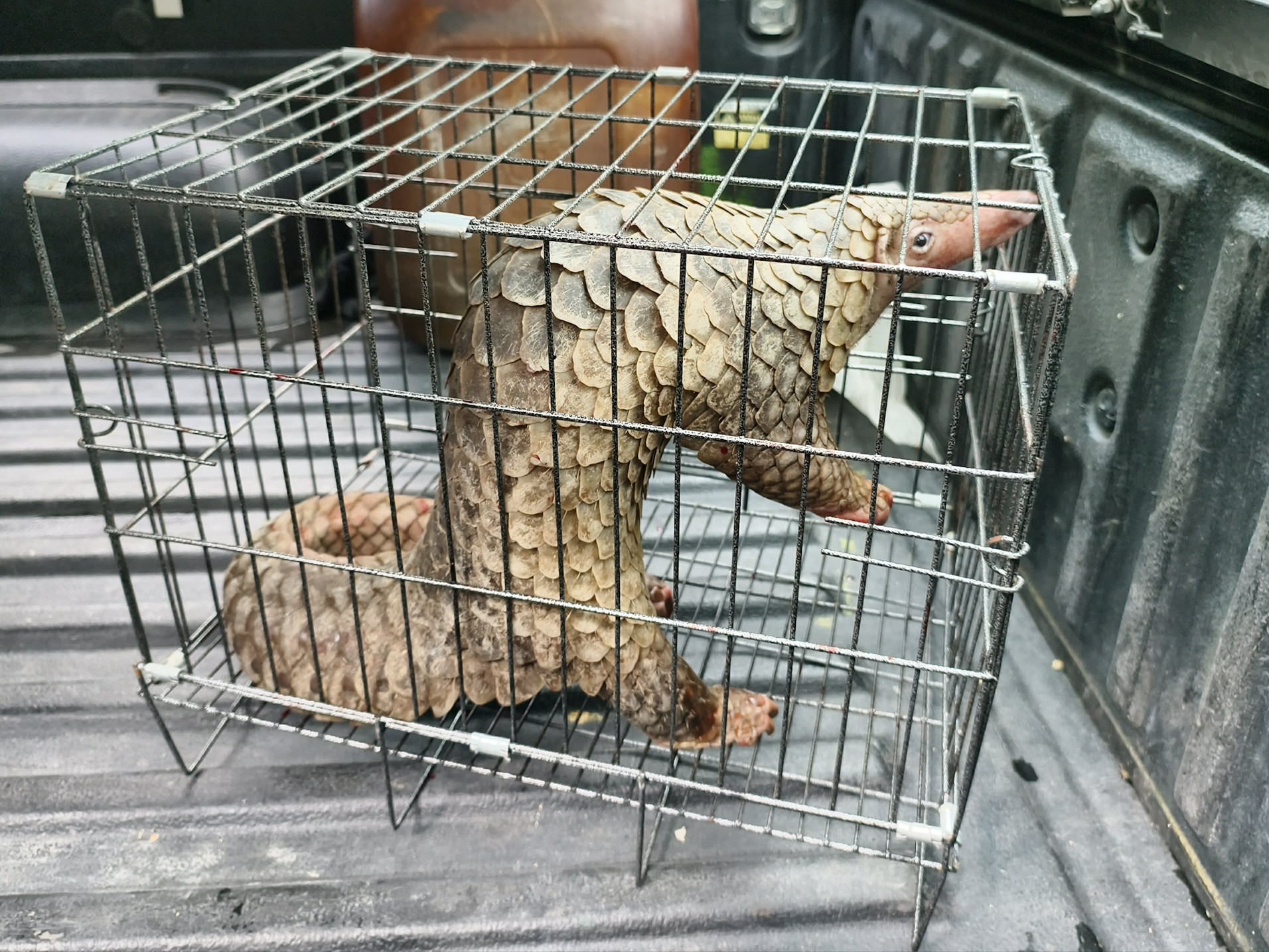 918922d9 1e1a 4d8e bebc 40c228d5a778 (1).jpg