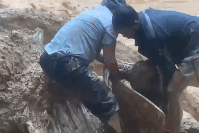 Clip: Thót tim giải cứu nam tài xế bị cuốn xuống vực ở Đà Nẵng