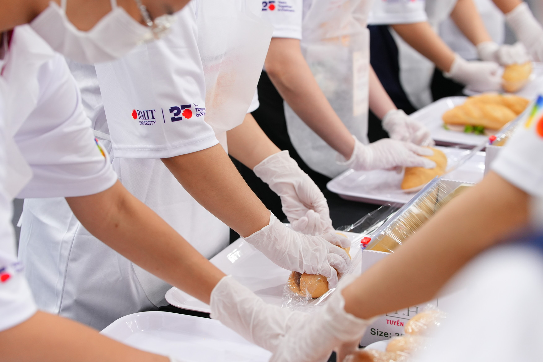 Hình 3 (lựa chọn 2).jpg