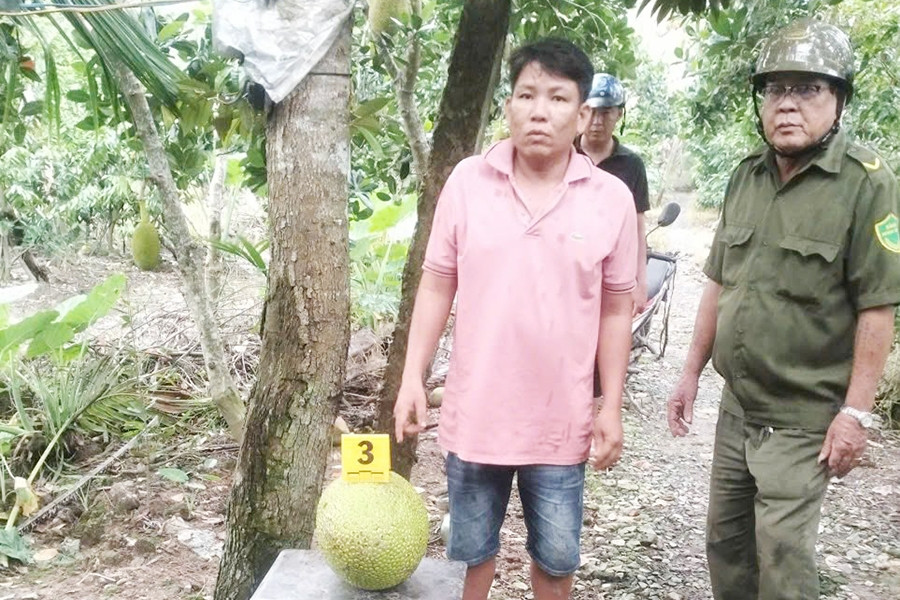 Lý do người đàn ông bị khởi tố vì trộm hai trái mít trị giá 387.000 đồng