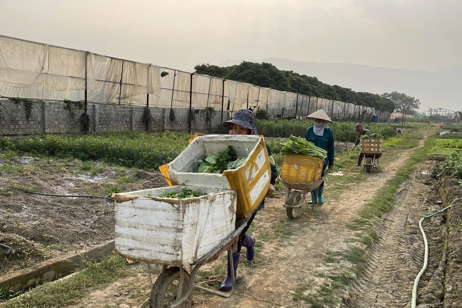 Thường Tín hướng tới xã nông thôn mới kiểu mẫu