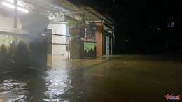 W-0041d7c5 7ef5 4377 ac5e a6a396b6ede7.jpg