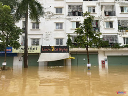 W-29d919e3 8cb1 47ed 80ac b0e1225145b4.jpg