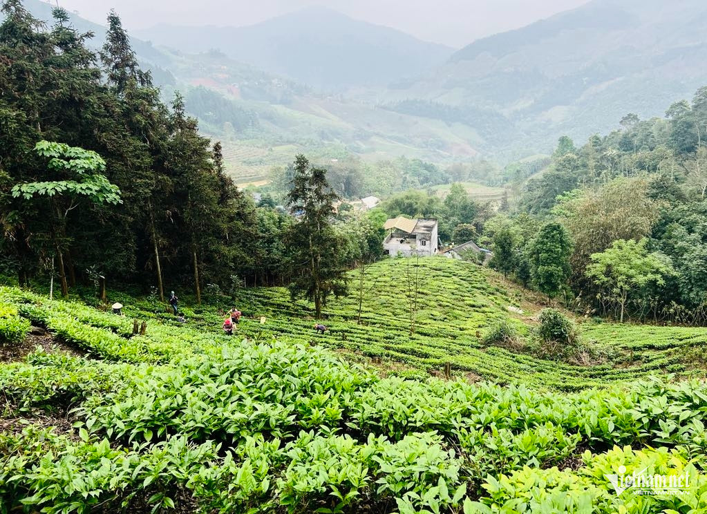 W-Che Muong Khuong.jpg