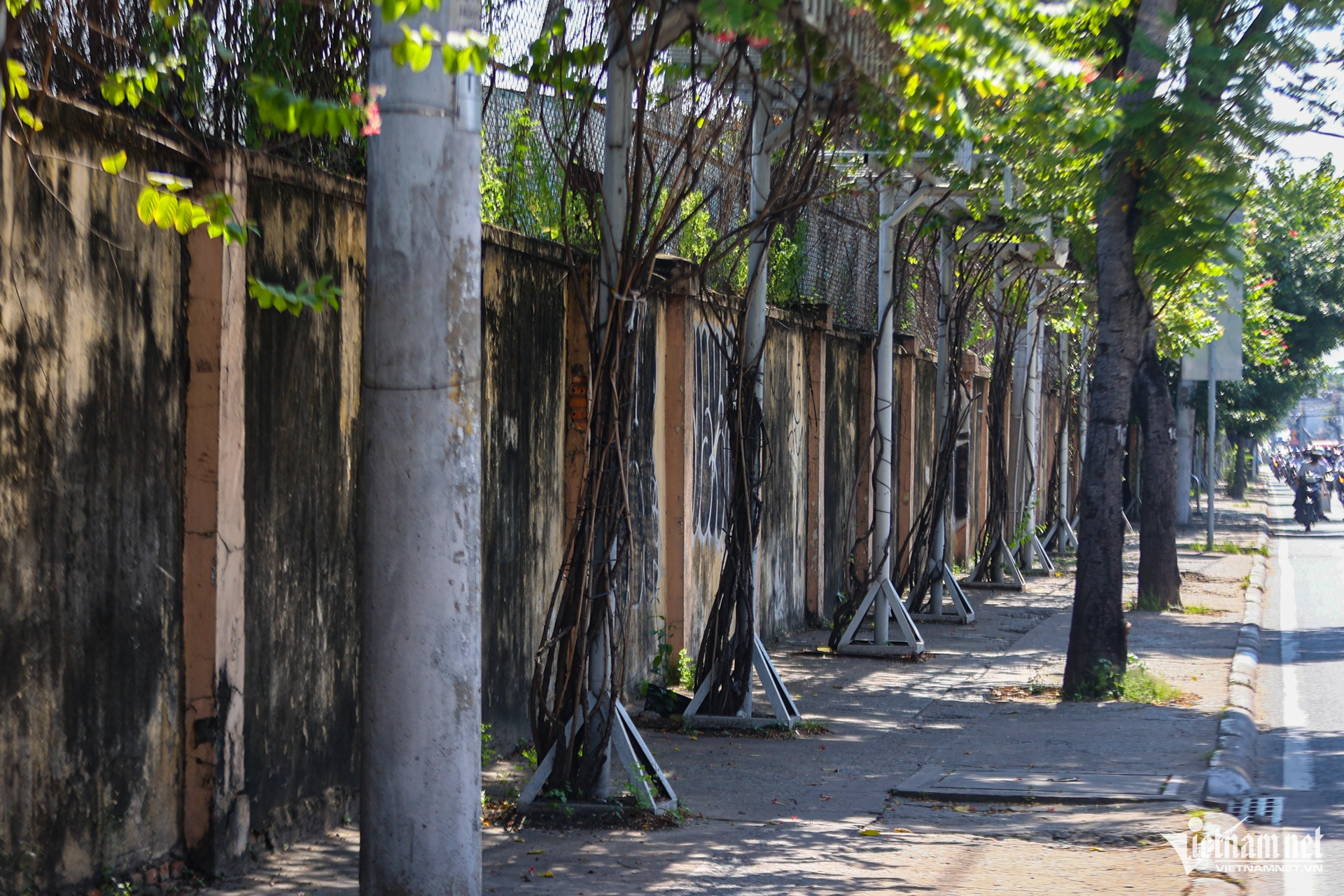 W-đường nguyễn tất thành   nguyễn huế 10.jpg