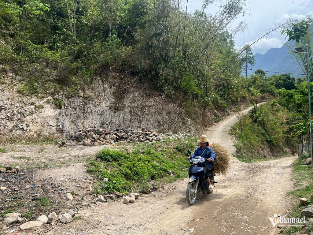 W-Phong chong tao hon.jpg