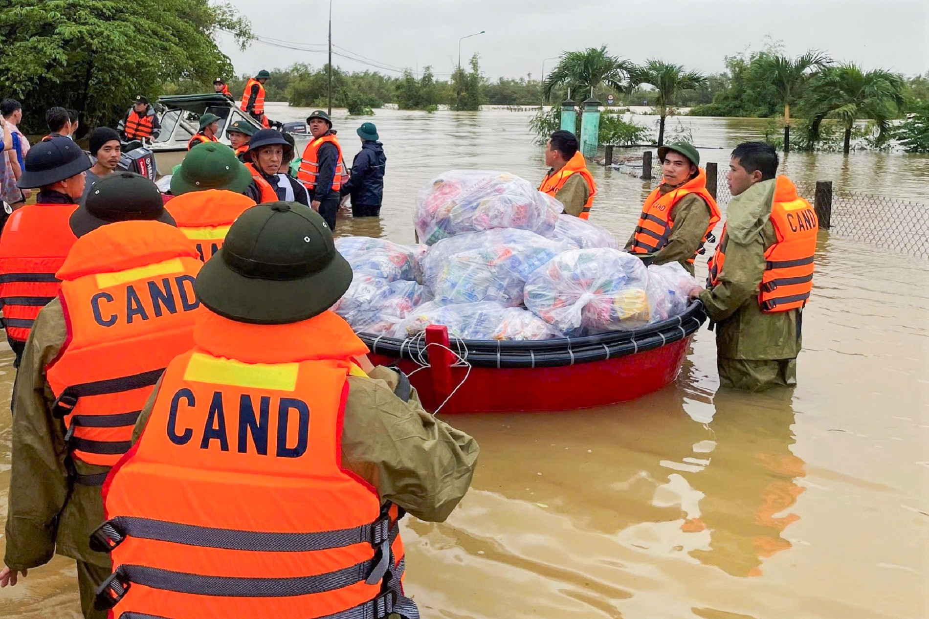 571201436 1227264292767919 4394087450602778616 n 27.jpg