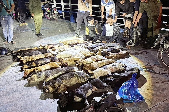 Công an kiểm tra 3 thanh niên chở 4 túi nylon giữa đêm, phát hiện điều bất thường