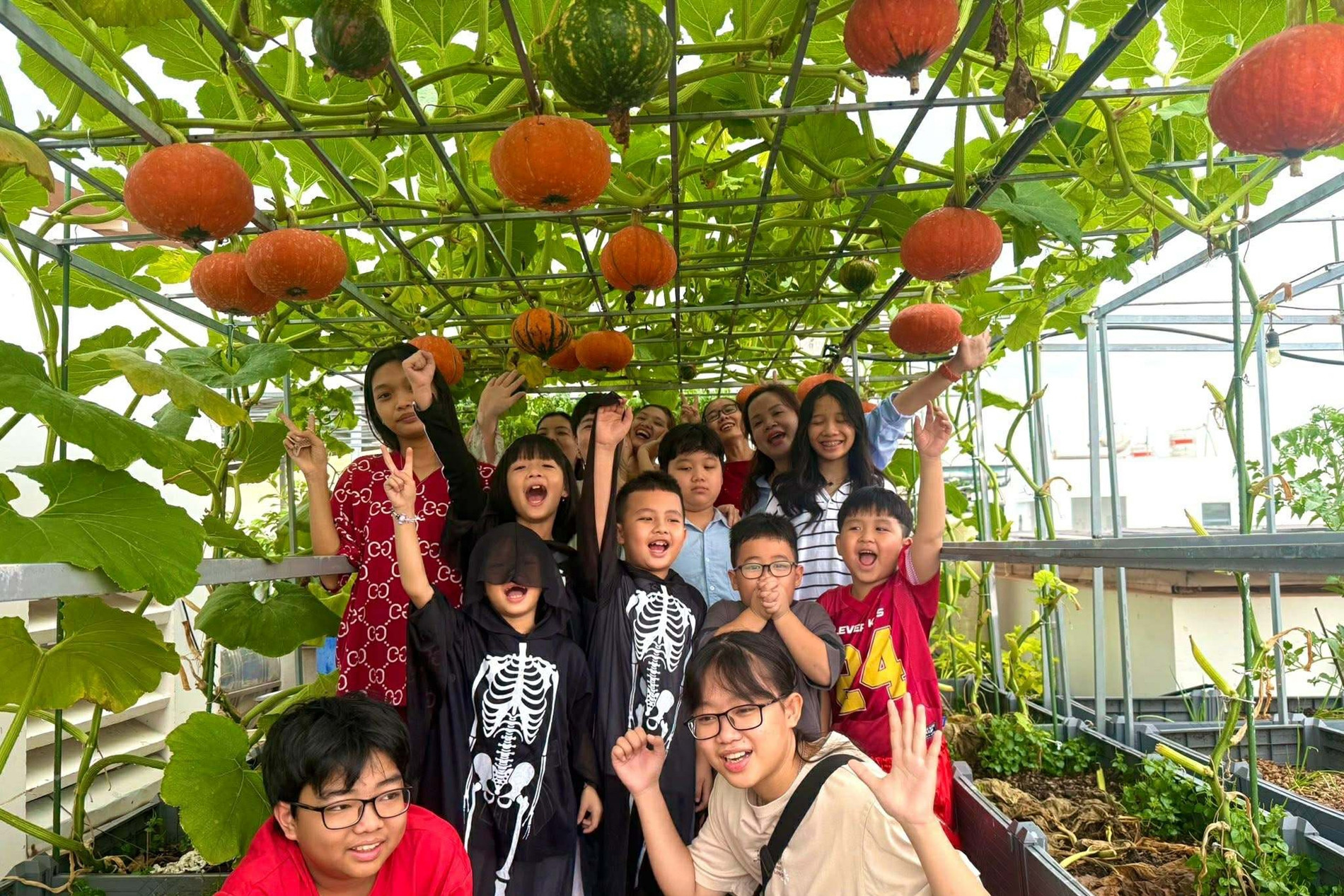 Mẹ đảm TPHCM trồng giống bí 'thần tốc', tạo góc vườn đẹp tặng con dịp Halloween