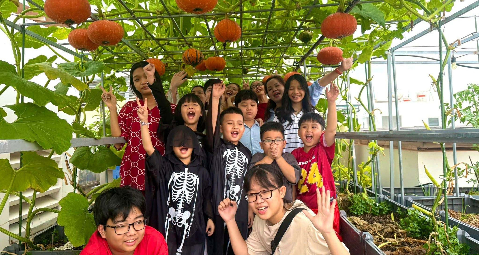 Mẹ đảm TPHCM trồng giống bí 'thần tốc', tạo góc vườn đẹp tặng con dịp Halloween