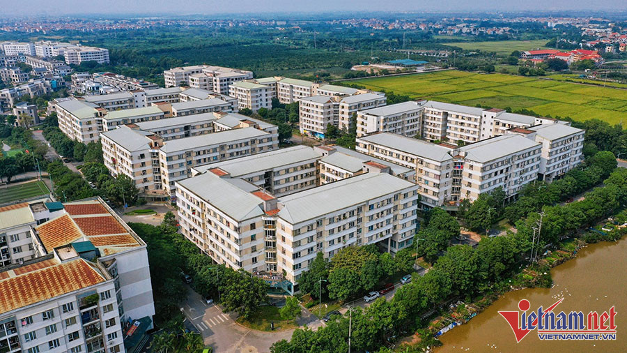 nha o xa hoi 2 1135.jpeg