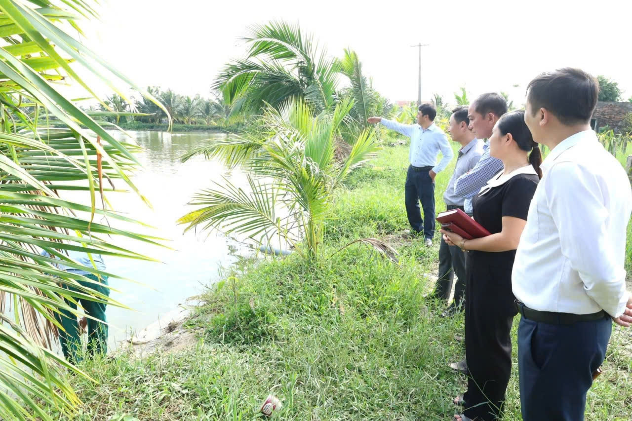 Thanh Hóa đẩy mạnh xây dựng nông thôn mới, đô thị văn minh