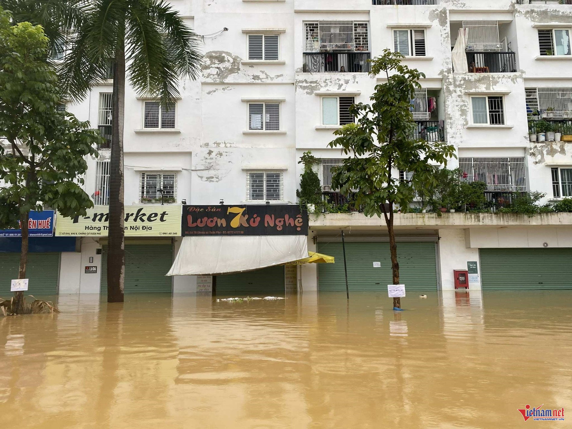 W-29d919e3 8cb1 47ed 80ac b0e1225145b4.jpg